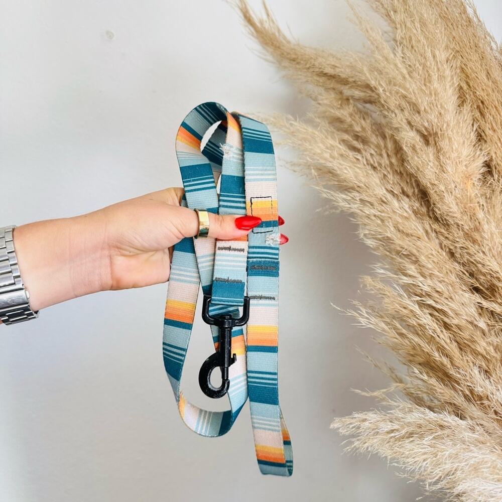 LEEDS Doheny White Blue Stripe Dog Leash Buckle Collar Step Harness $135 Set - Picture 4 of 16